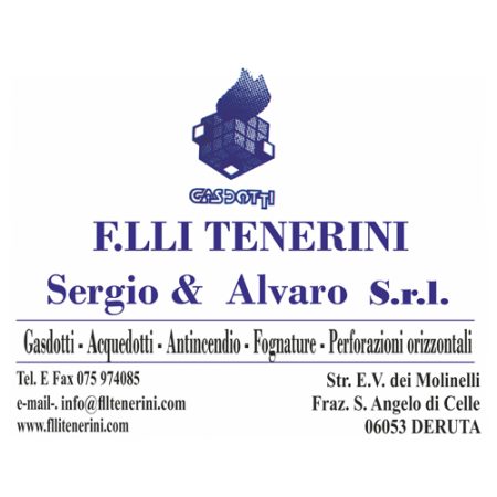 FLLI-TENERINI-LOGO